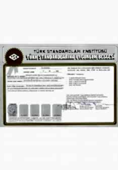TSE